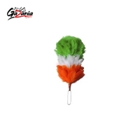  Irish Tri Color Feather Plums